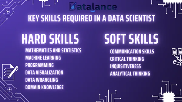 What Is A Data Scientist